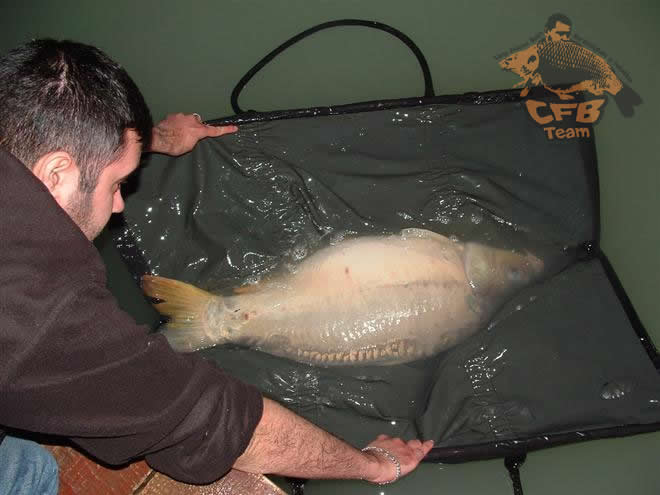 Áprilisi horgászat a Fish Arénán