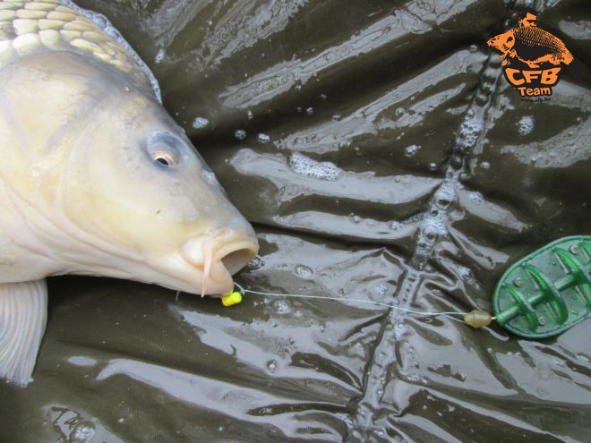 Hivatalos évnyitó horgászat, ezúttal a Préri tavon